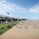 شقة In Near Belgium Pier بلانكنبرخ