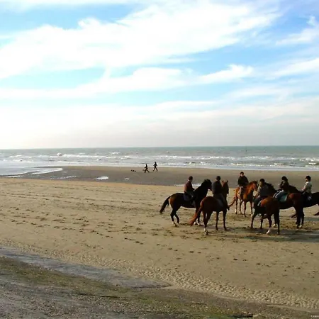 In Near Belgium Pier Appartement Blankenberge